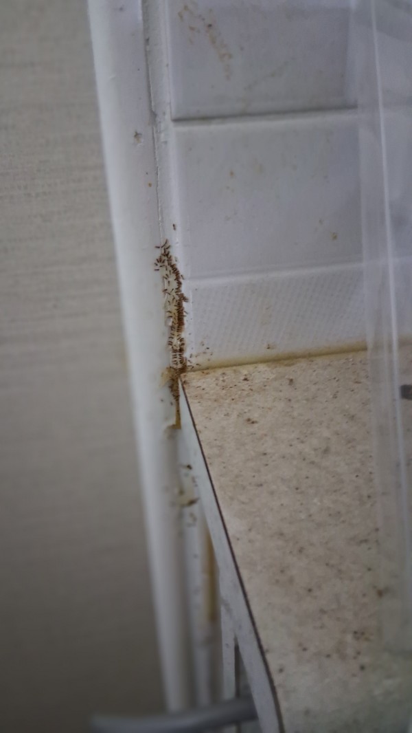 717f4b5ff5117021cede8d4fd73e8afc_1764135